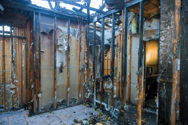 Professional Fire Damage Assessment technician working in Hydes, MD